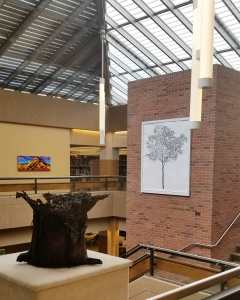 The image is an interior view of the Tomlinson Library at Colorado Mesa University. The image shows the ceiling's angles and various artwork on display, with the book stacks in the background.
